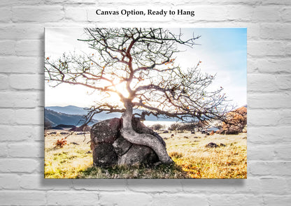 Ashland Oregon Rogue Valley Nature Photography Wall Art Print