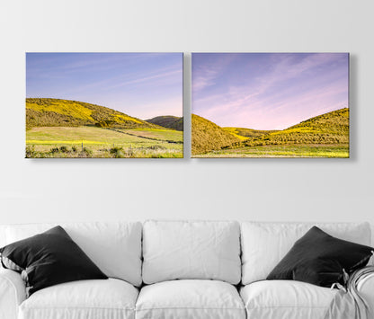 Santa Barbara County Rural Landscape Photography with California Wildflowers