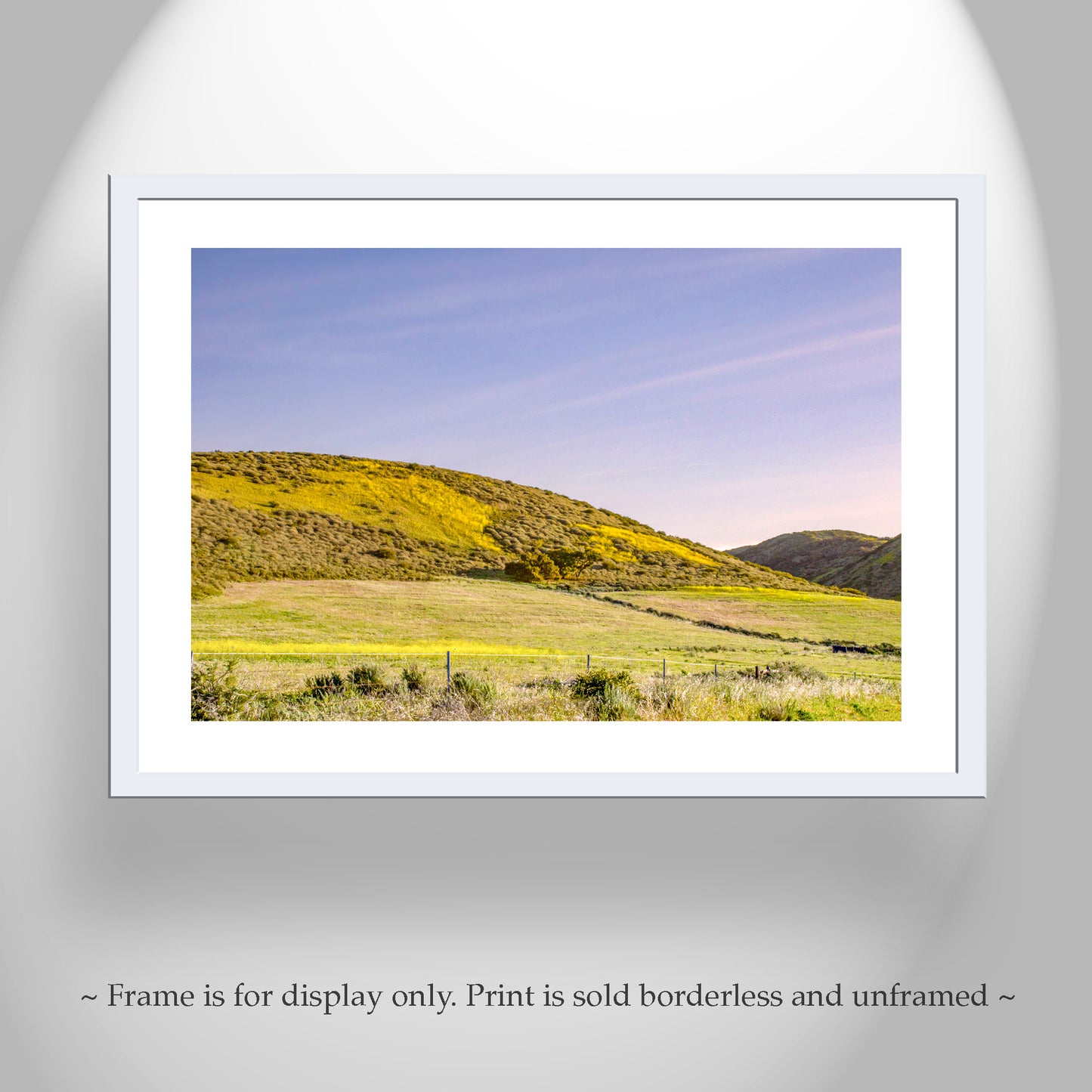 Santa Barbara County Rural Landscape Photography with California Wildflowers
