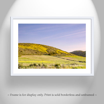 Santa Barbara County Rural Landscape Photography with California Wildflowers