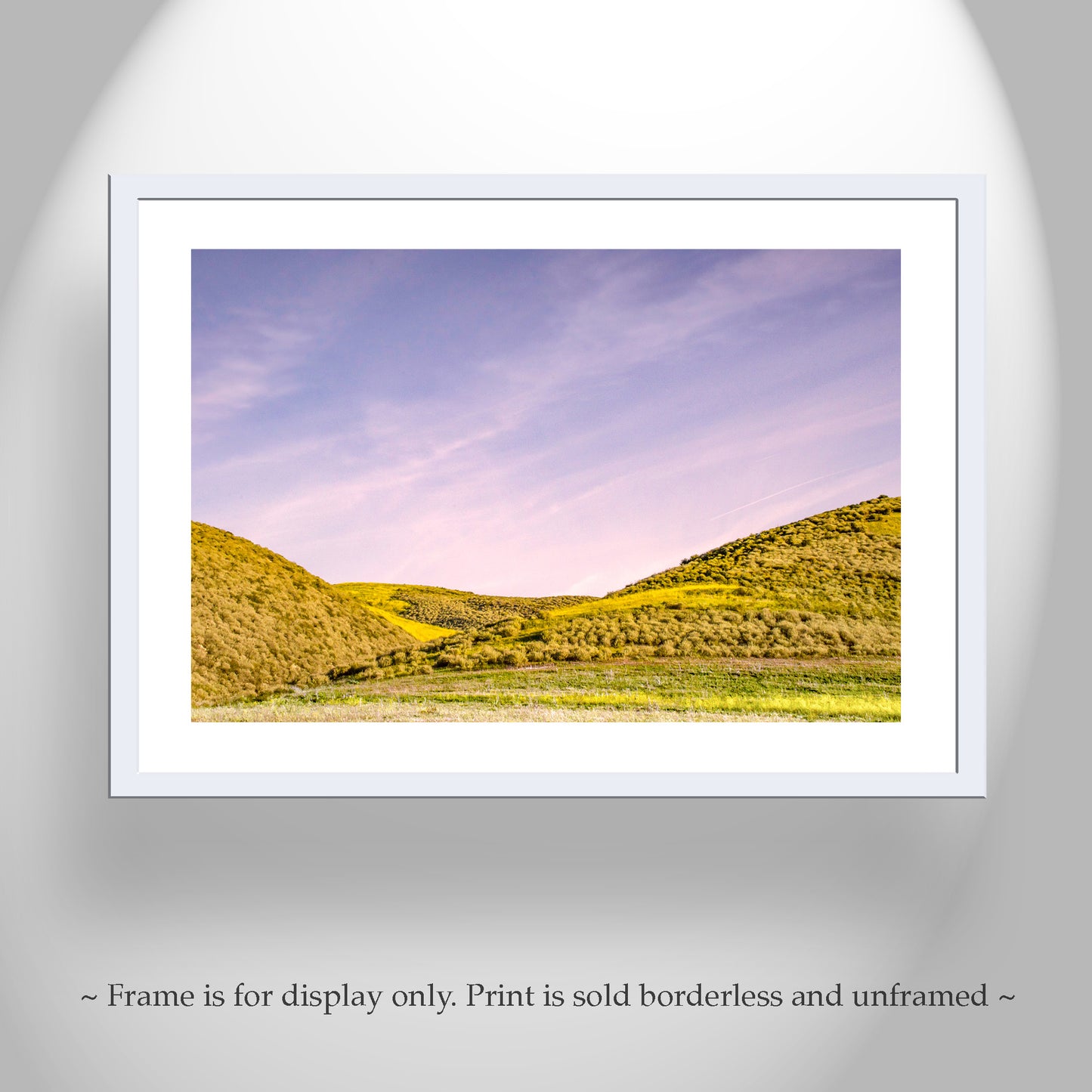 Santa Barbara County Rural Landscape Photography with California Wildflowers
