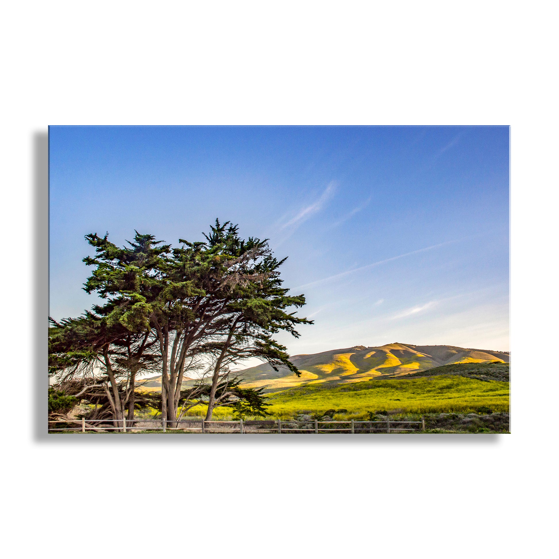 Scenic view of trees with a clear blue sky and rolling hills in the background. Beautiful California coastal mountains! For your decorative needs, my tranquil California landscape art: spring-season delight in the splendid countryside of Santa Barbara County. I found this scene after my icy pre-dawn campground reveille to capture the early morning light. Original, unique signed art photograph by Murray Bolesta!