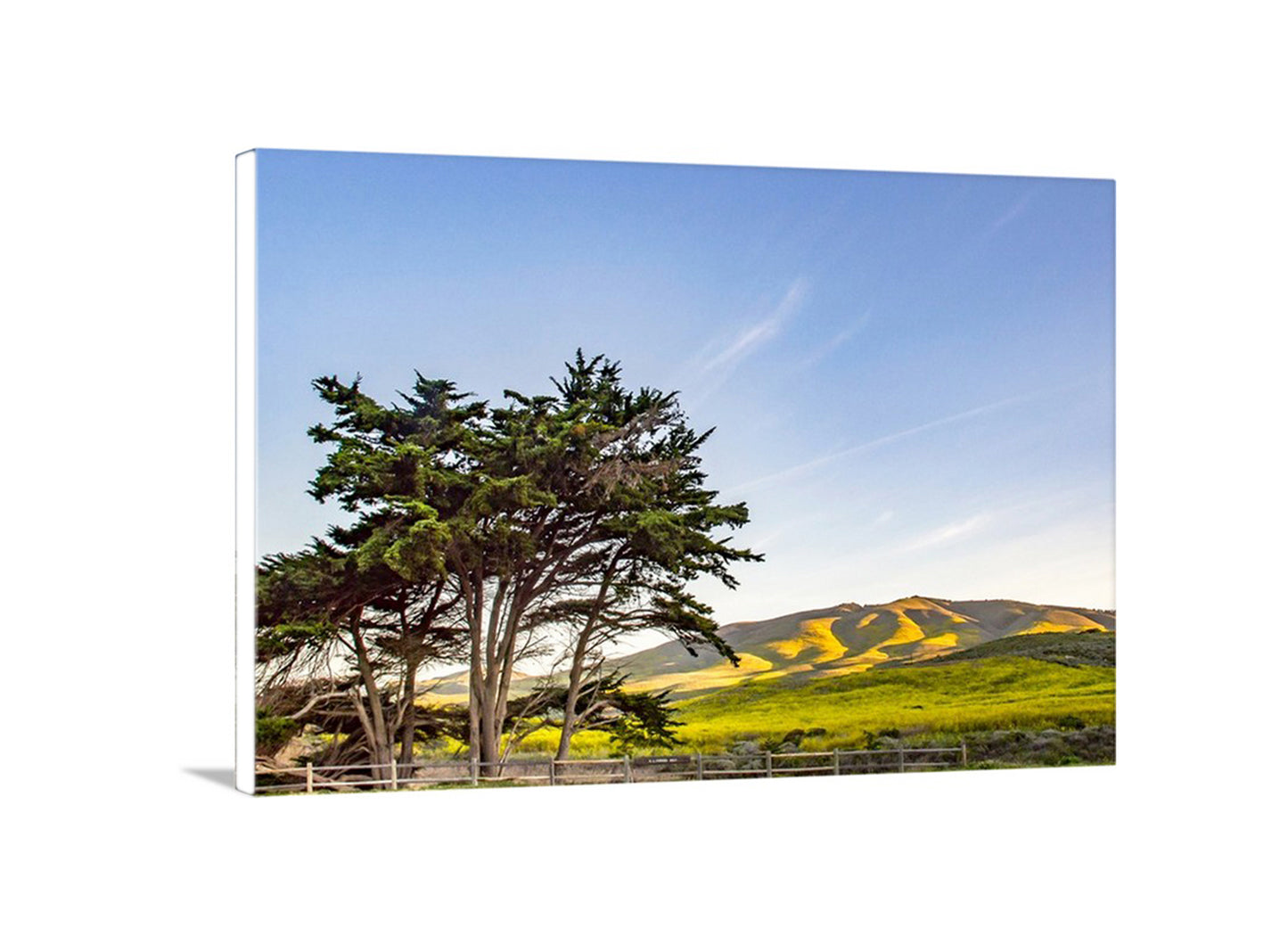 Santa Barbara California Coastal Mountain Landscape Art at Lompoc Jalama Beach