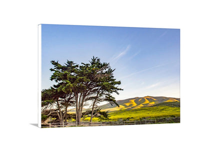 Santa Barbara California Coastal Mountain Landscape Art at Lompoc Jalama Beach