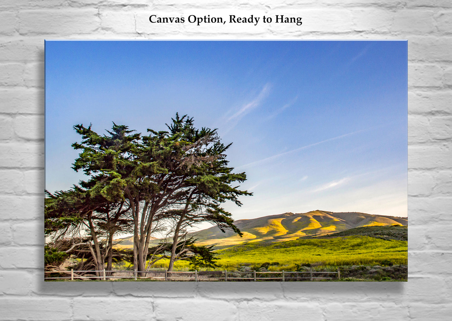 Santa Barbara California Coastal Mountain Landscape Art at Lompoc Jalama Beach
