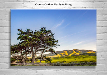 Santa Barbara California Coastal Mountain Landscape Art at Lompoc Jalama Beach