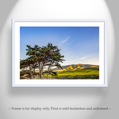 Santa Barbara California Coastal Mountain Landscape Art at Lompoc Jalama Beach