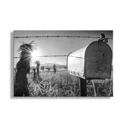 Mailbox on a barbed wire fence with desert landscape and sunlit cacti. Rural America Landscape Photography in Southern Arizona USA. Road trip art