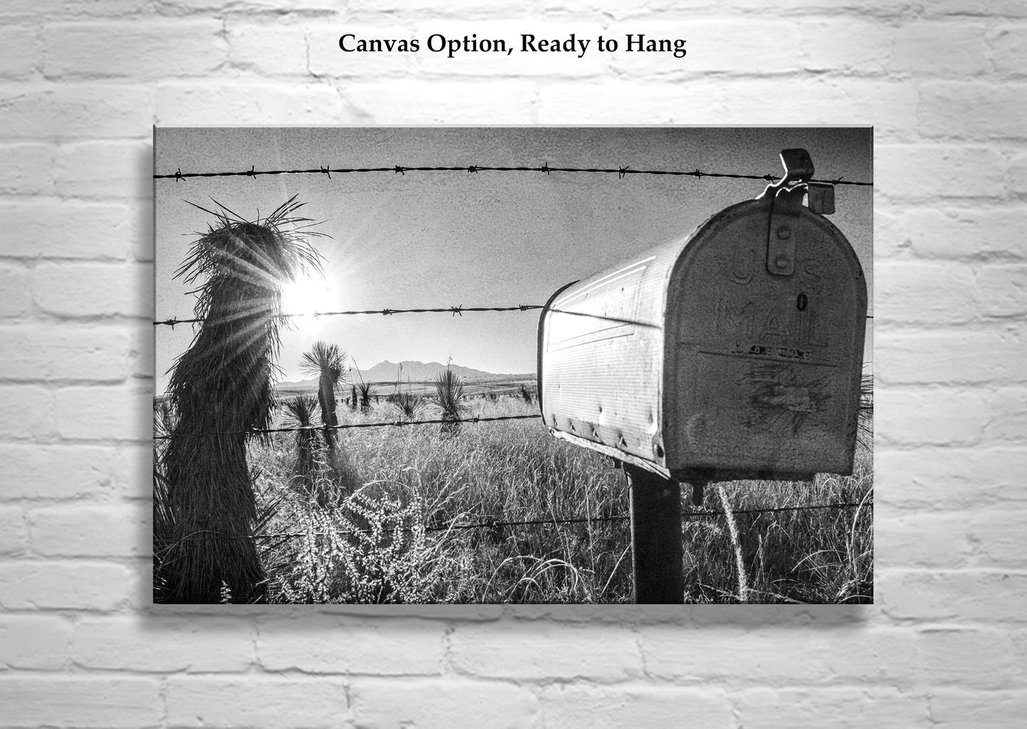 Rural America Landscape Photography in Southern Arizona USA