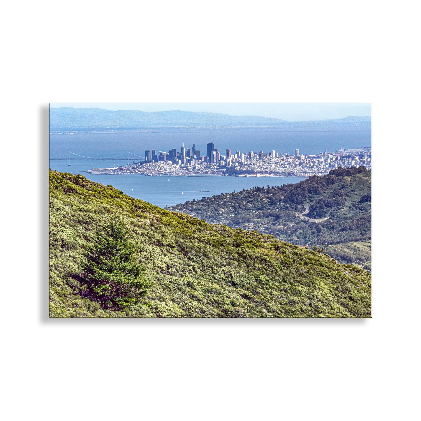 Cityscape view from a mountain with greenery and water in the background. Beautiful San Francisco Bay from Mount Tamalpais California. Splendid! Original, unique signed art by Murray Bolesta.
