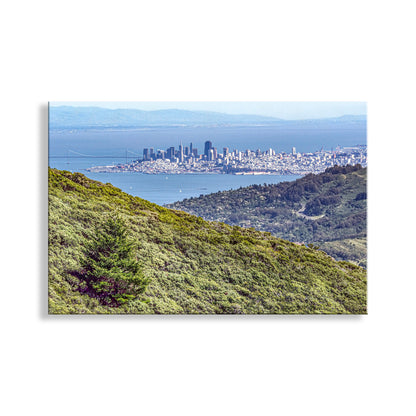 Cityscape view from a mountain with greenery and water in the background. Beautiful San Francisco Bay from Mount Tamalpais California. Splendid! Original, unique signed art by Murray Bolesta.