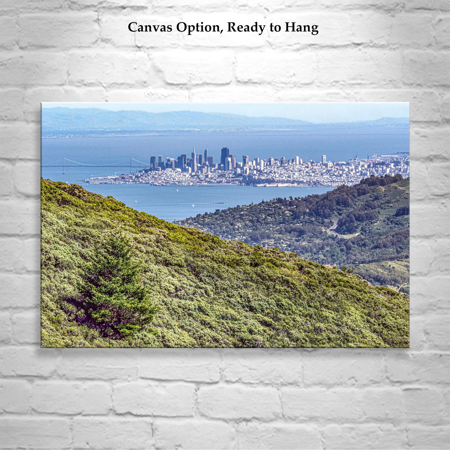 Mt Tam Wall Art with Marin County Landscape San Francisco California