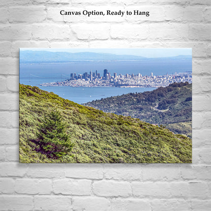 Mt Tam Wall Art with Marin County Landscape San Francisco California