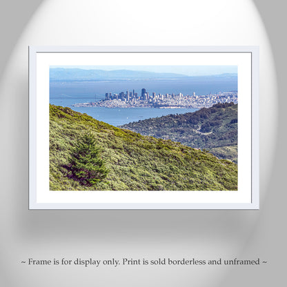 Mt Tam Wall Art with Marin County Landscape San Francisco California