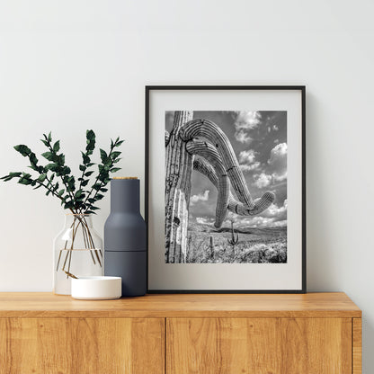 Black and White Arizona Landscape | Saguaro Cactus Photo Art Print
