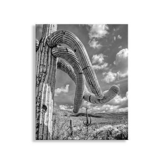 Black and White Arizona Landscape | Saguaro Cactus Photo Art Print