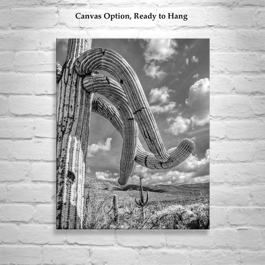 Black and White Arizona Landscape | Saguaro Cactus Photo Art Print