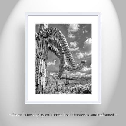 Black and White Arizona Landscape | Saguaro Cactus Photo Art Print
