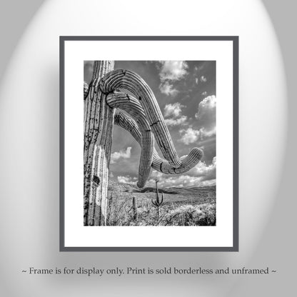 Black and White Arizona Landscape | Saguaro Cactus Photo Art Print