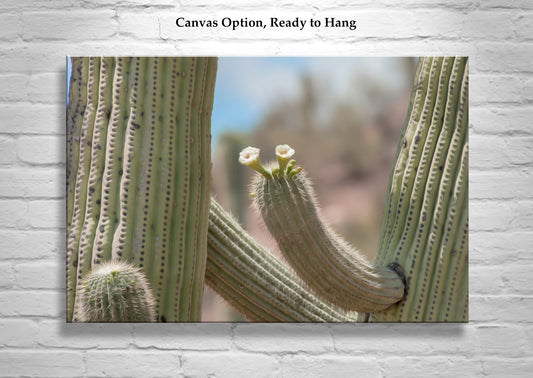 Framed Wall Art with Desert Cactus and Wildflower