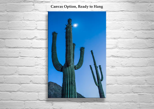 Desert Cactus Moon Night Photography as Southwest Wall Decor