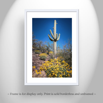Cactus Decor with Spring Desert Flowers as Southwest Design