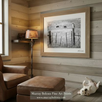 A black and white image depicting a bird perched on a wooden fence post, with a field of cows grazing in the background. Hawk on Ranch Fence | Black & White Western Bird Wall Art Print by Murray Bolesta