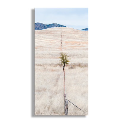 Sculptural wall art with wavy beige surface and tree-like structure against a blue sky. Minimalist Landscape Art with Sierra Vista Arizona Ranch Prairie Grassland