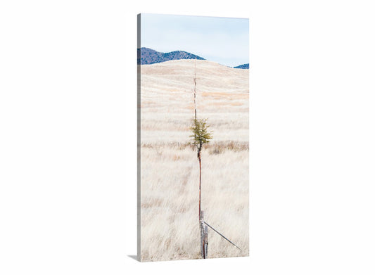 Minimalist Landscape Art with Sierra Vista Arizona Ranch Prairie Grassland