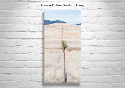 Minimalist Landscape Art with Sierra Vista Arizona Ranch Prairie Grassland