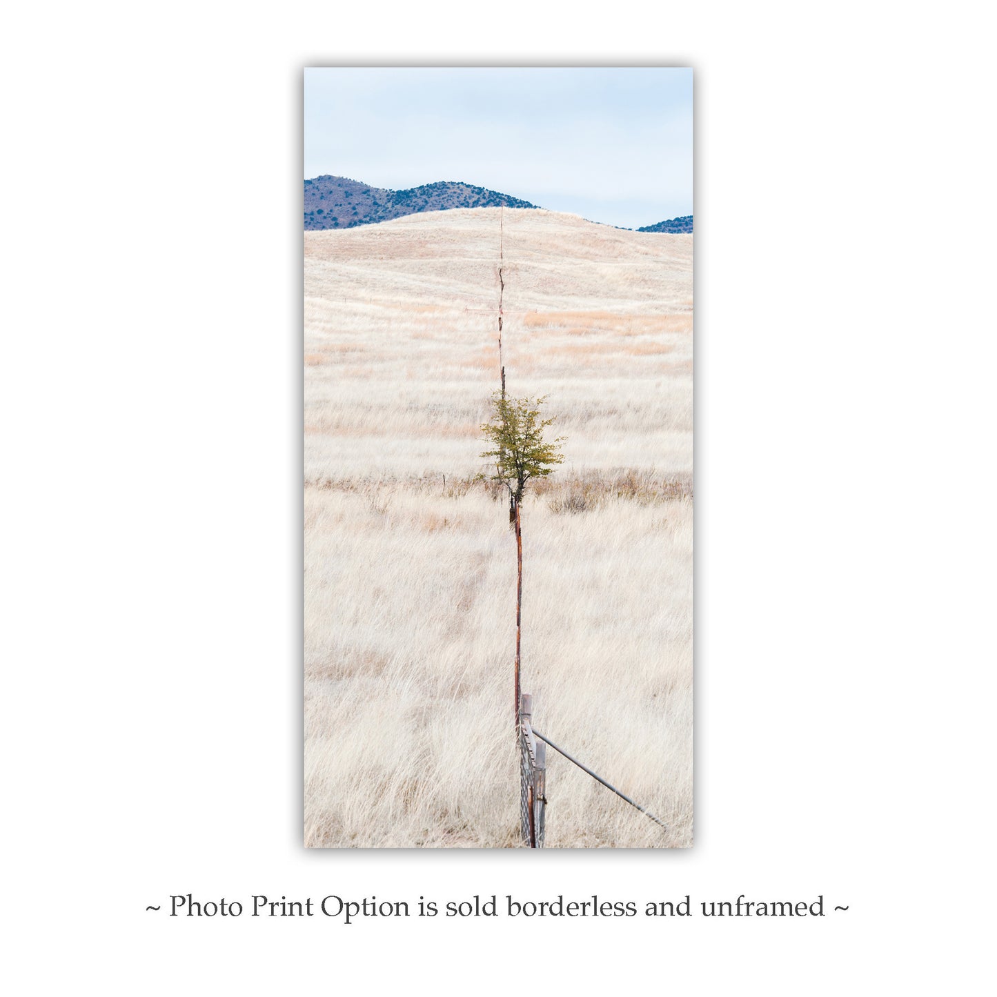 Minimalist Landscape Art with Sierra Vista Arizona Ranch Prairie Grassland