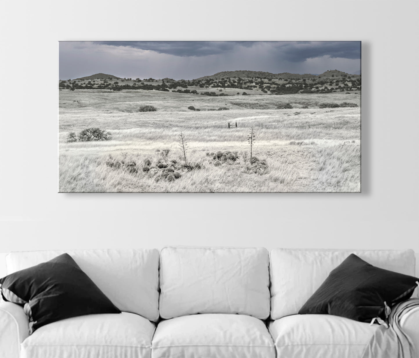 Arizona Landscape Panoramic Art with San Rafael Valley Ranch Country Prairie