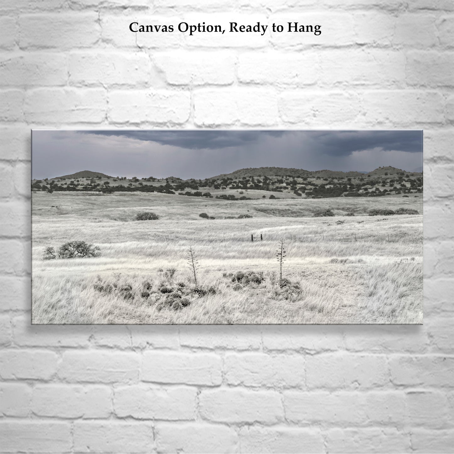 Arizona Landscape Panoramic Art with San Rafael Valley Ranch Country Prairie