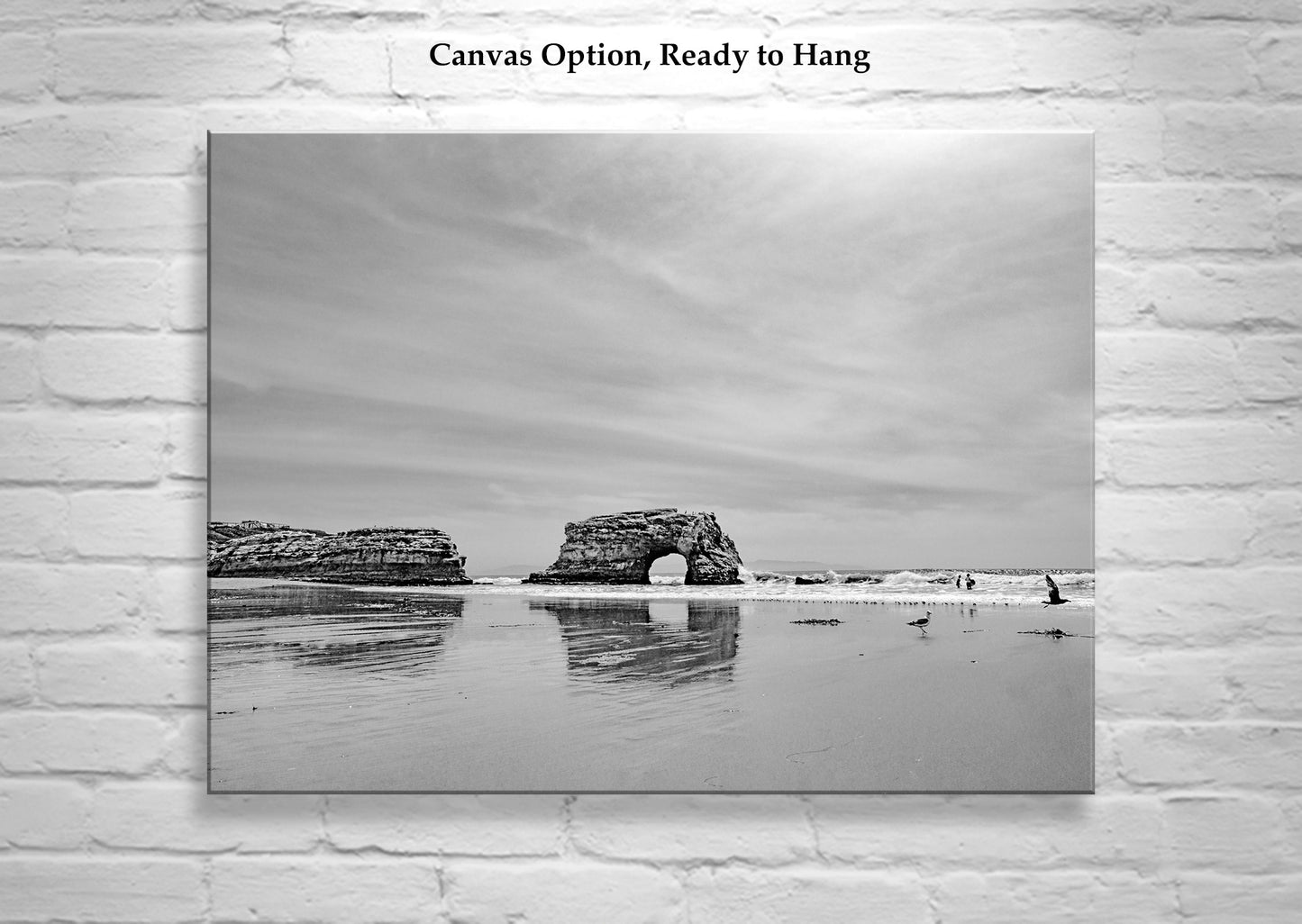 Santa Cruz California State Beach | Natural Bridges Art in Black & White