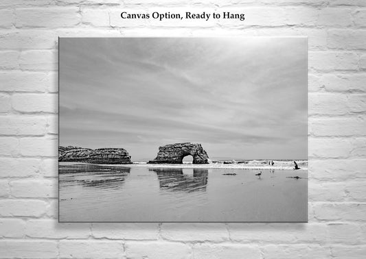 Santa Cruz California State Beach | Natural Bridges Art in Black & White