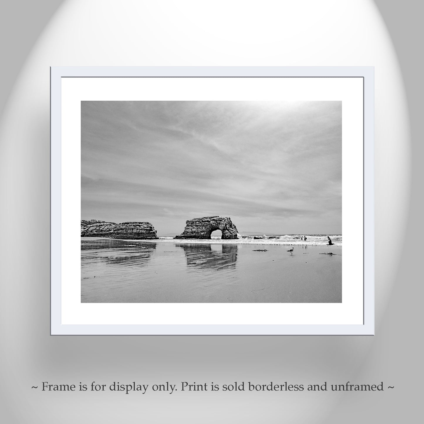 Santa Cruz California State Beach | Natural Bridges Art in Black & White
