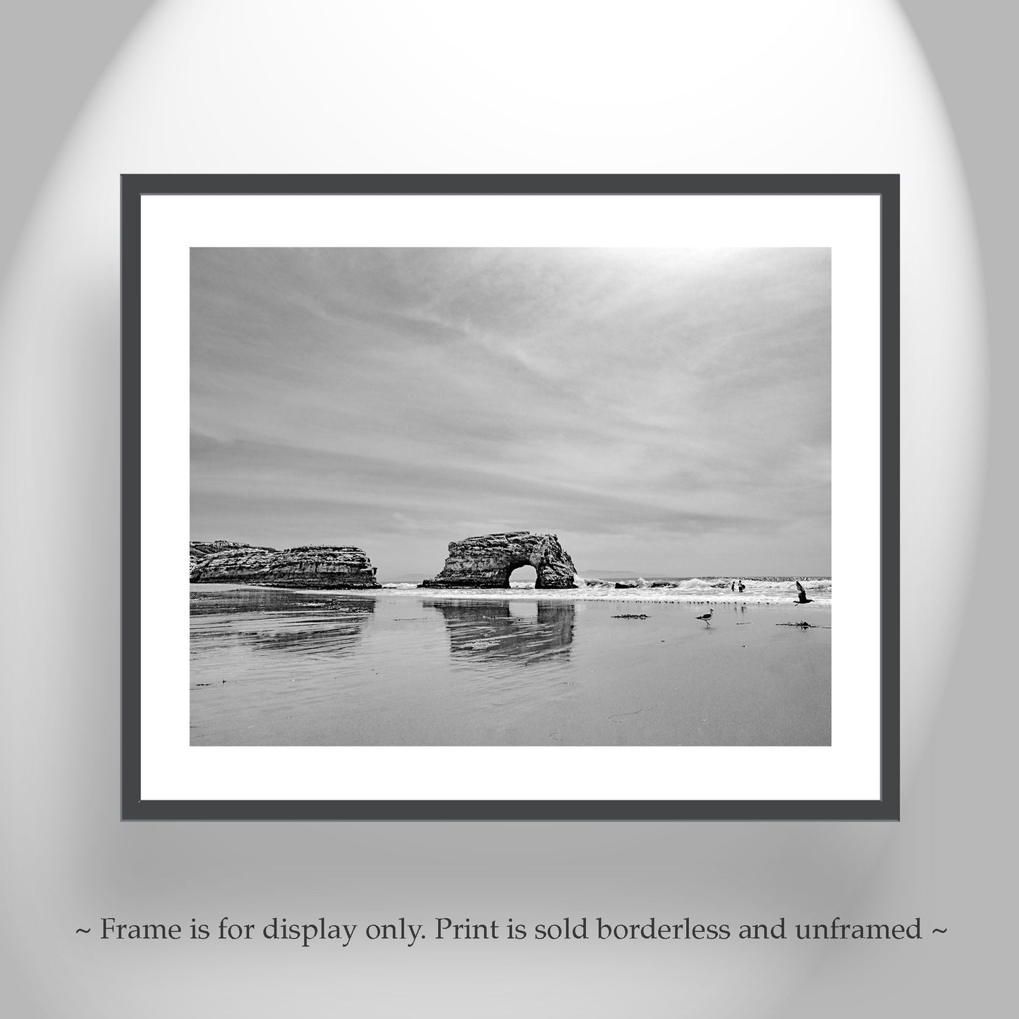 Santa Cruz California State Beach | Natural Bridges Art in Black & White