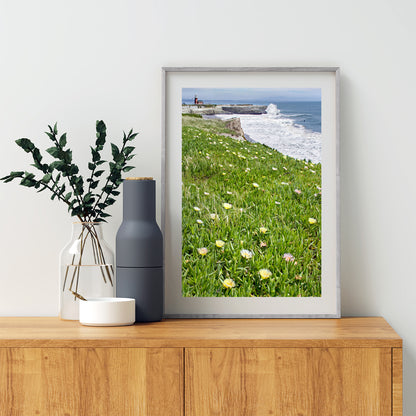 Santa Cruz California Lighthouse Art Print with Beach Wildflowers