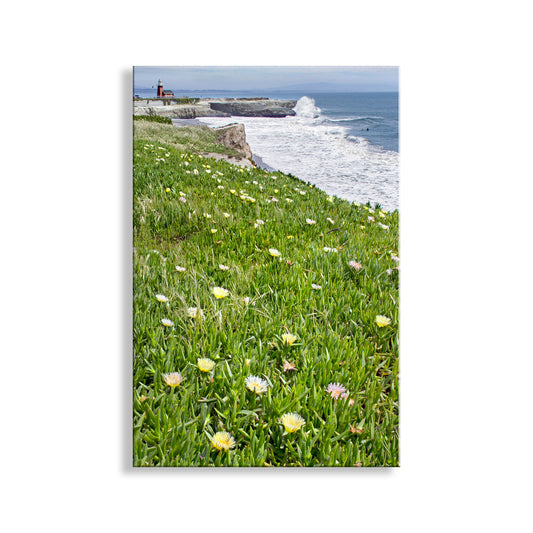 Lighthouse on a cliff with ocean view and grassy field with flowers. Santa Cruz California Lighthouse Art Print with Beach Wildflowers