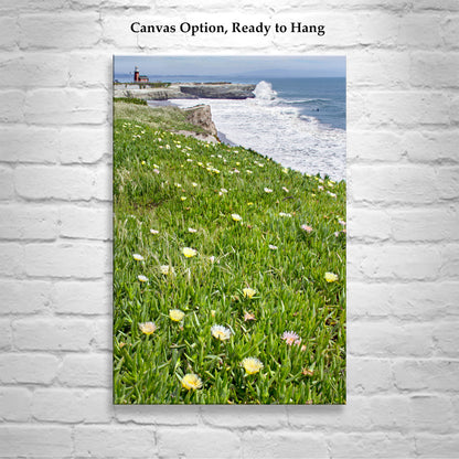 Santa Cruz California Lighthouse Art Print with Beach Wildflowers