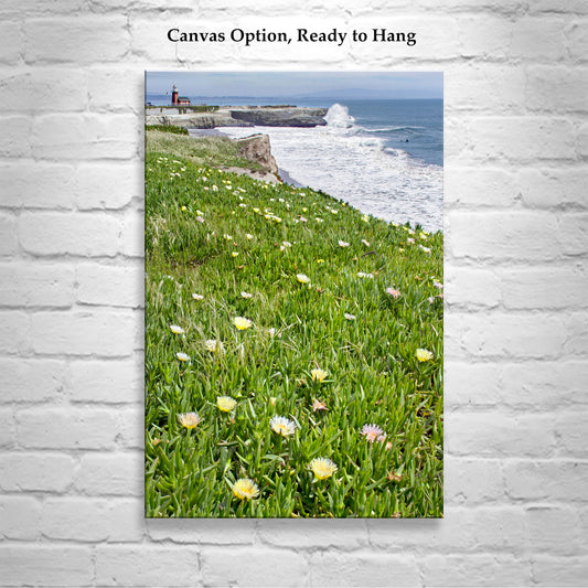 Santa Cruz California Lighthouse Art Print with Beach Wildflowers