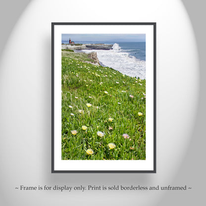 Santa Cruz California Lighthouse Art Print with Beach Wildflowers