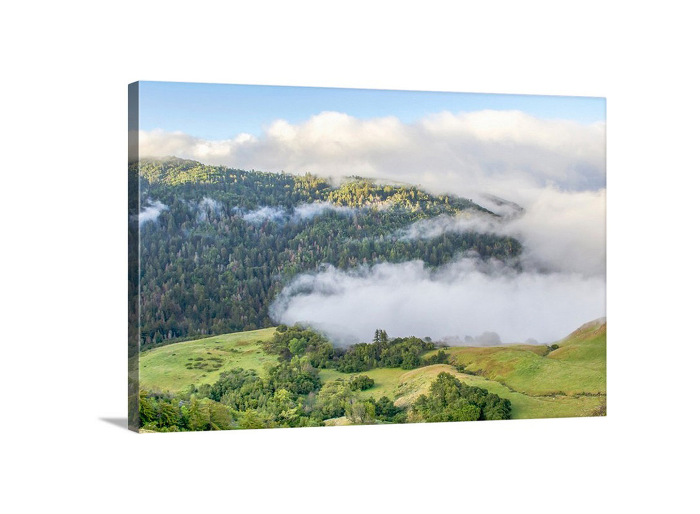 My tranquil spectacle of a morning landscape in the central California mountains of the Big Sur coast! Original, unique signed art by Murray Bolesta.