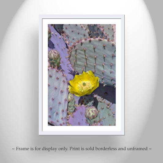 Cactus Wall Decor with Purple Santa Rita Prickly Pear & Cactus Flower