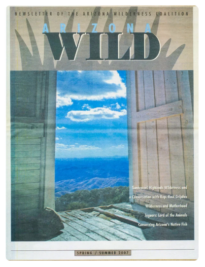 Fine Art Surreal Border Landscape – Southern Arizona Artwork