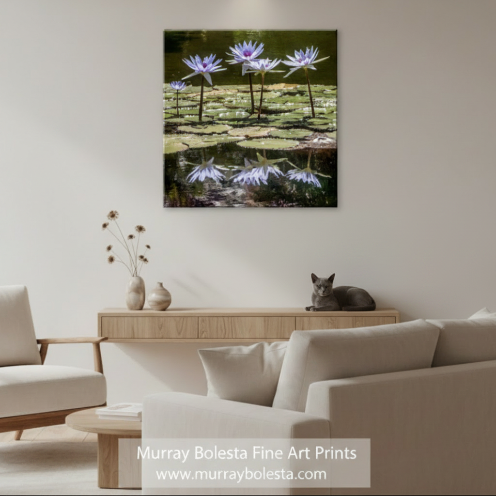 A square wall art print depicting five purple water lilies on green lily pads in dark water, with their reflections visible below. The print is shown against a light gray background. Art by Murray Bolesta
