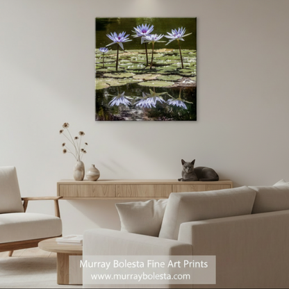 A square wall art print depicting five purple water lilies on green lily pads in dark water, with their reflections visible below. The print is shown against a light gray background. Art by Murray Bolesta