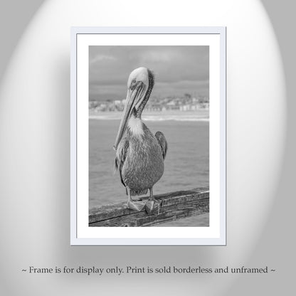 Pelican Sea Bird Art Print in Black and White | Coastal Bird Artwork