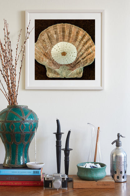 Seashell and Sea Urchin Still Life Art Print | Bold Wall Decor for Bath or Home