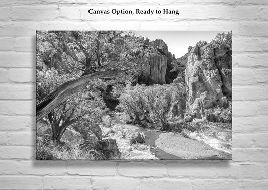 Black & White Desert Canyon Landscape Art with Wilderness Canyon